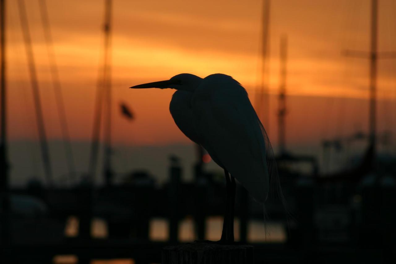 Whooping Crane Manor B & B 락포트 외부 사진