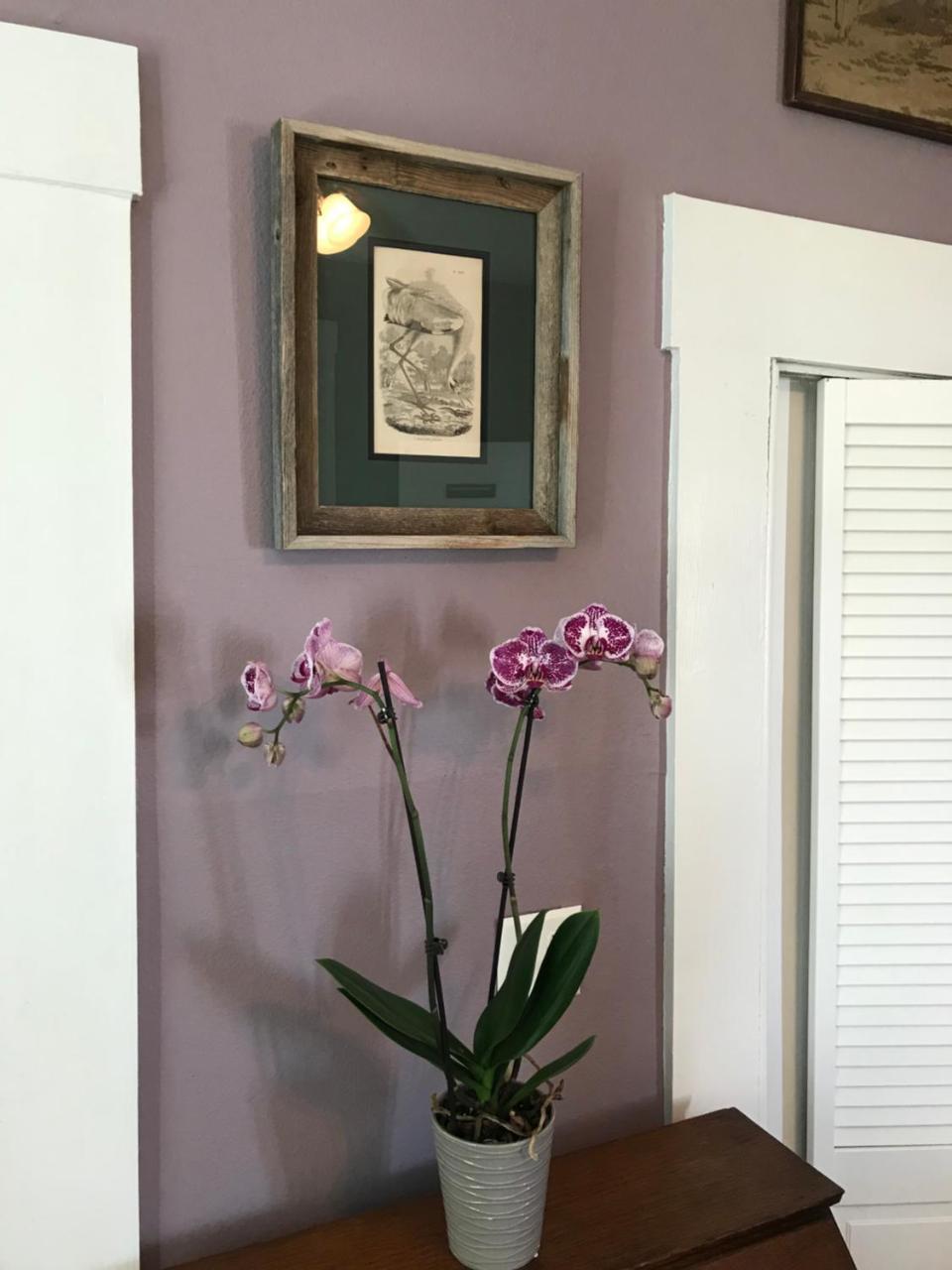 Whooping Crane Manor B & B 락포트 외부 사진